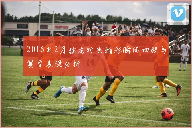 2016年2月猛龙对决精彩瞬间回顾与赛季表现分析