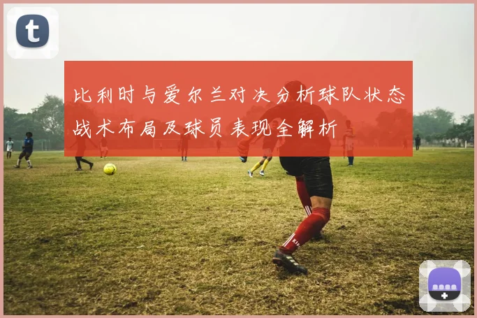 比利时与爱尔兰对决分析球队状态战术布局及球员表现全解析
